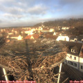 09_45-nest.jpg