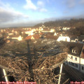 09_50-nest.jpg