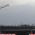 09_55-mast.jpg