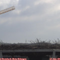 11_05-mast.jpg