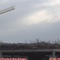 11_10-mast.jpg