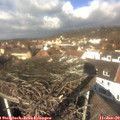 12_00-nest.jpg