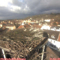 12_05-nest.jpg