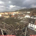 12_15-nest.jpg