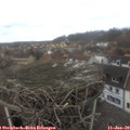 12_25-nest.jpg