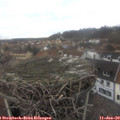 12_30-nest.jpg