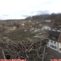 12_45-nest.jpg