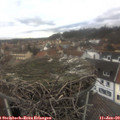 12_55-nest.jpg
