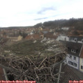 13_05-nest.jpg