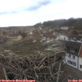 13_10-nest.jpg