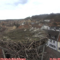 13_15-nest.jpg