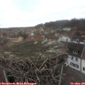 13_30-nest.jpg