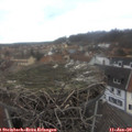 13_35-nest.jpg