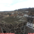 13_40-nest.jpg