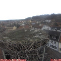 13_50-nest.jpg