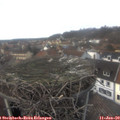 13_55-nest.jpg