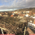 14_00-nest.jpg