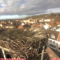 14_05-nest.jpg