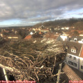 14_10-nest.jpg