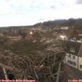 14_15-nest.jpg