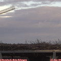 14_25-mast.jpg