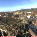 14_30-nest.jpg