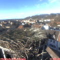14_35-nest.jpg