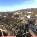 14_40-nest.jpg