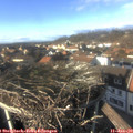 14_45-nest.jpg