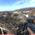 14_50-nest.jpg