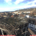 14_55-nest.jpg