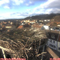 15_00-nest.jpg