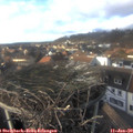 15_05-nest.jpg