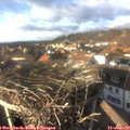 15_10-nest.jpg