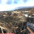 15_20-nest.jpg