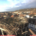 15_25-nest.jpg