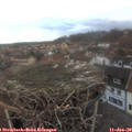 16_25-nest.jpg