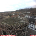 16_30-nest.jpg