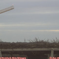 08_20-mast.jpg
