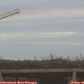 08_25-mast.jpg