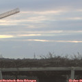 08_30-mast.jpg