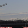 09_45-mast.jpg