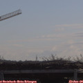10_10-mast.jpg
