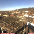 12_35-nest.jpg