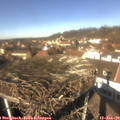 12_40-nest.jpg
