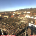 12_50-nest.jpg