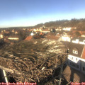 13_10-nest.jpg