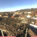 13_40-nest.jpg