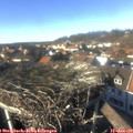 14_30-nest.jpg