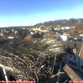 14_35-nest.jpg